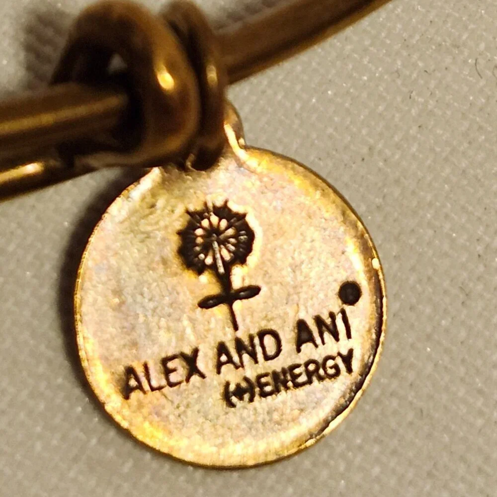 Alex and Ani Las Vegas Poker Chip Charm Gold Tone Energy Bangle Rafaelian Gold - Picture 4 of 8
